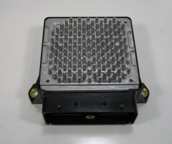 29545538
